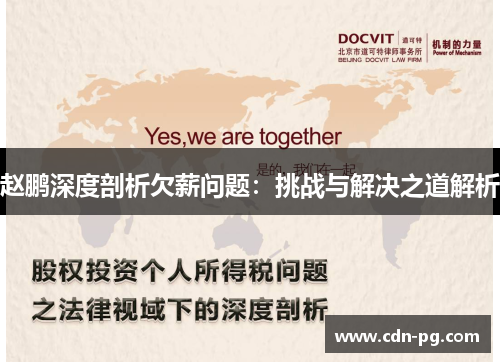 赵鹏深度剖析欠薪问题：挑战与解决之道解析